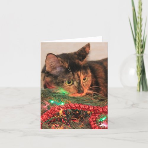 Christmas Calico Cat likes lights blank notes
