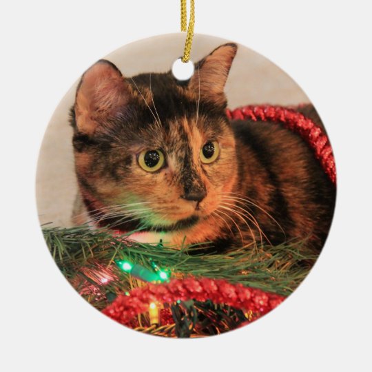 Christmas Calico Cat Ornament | Zazzle.com