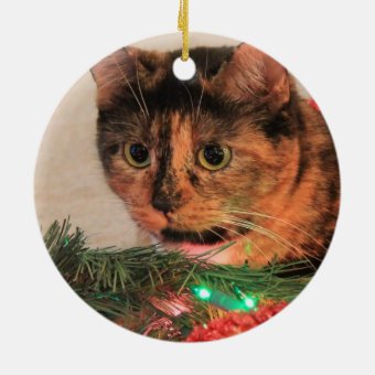 Christmas Calico Cat Ornament | Zazzle