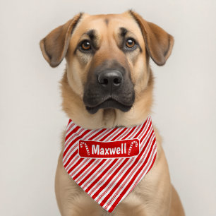 Christmas Candy Cane Striped Personalized Pet Bandana Collar
