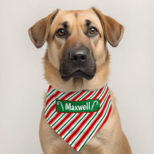 Christmas Candy Cane Striped Personalized Pet Bandana Collar