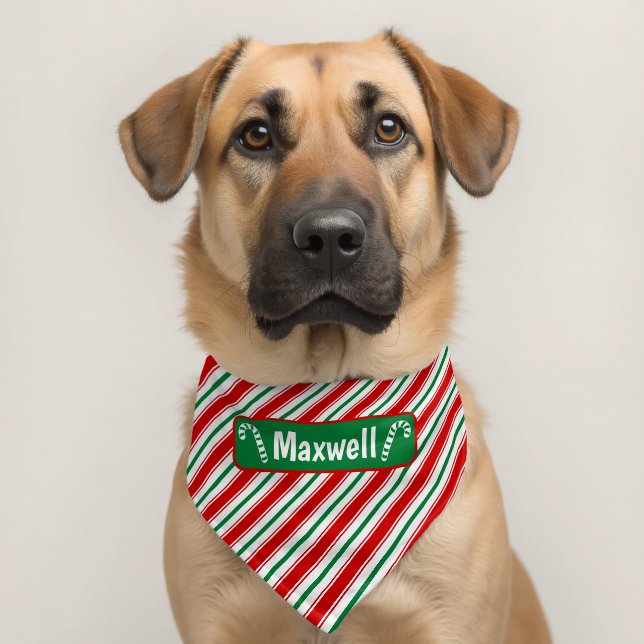 Christmas Candy Cane Striped Personalized  Pet Bandana Collar (Dog 2)