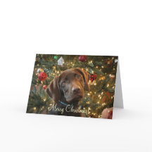 Christmas Card