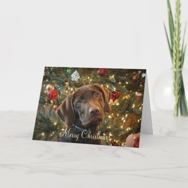 Christmas Card (Front)