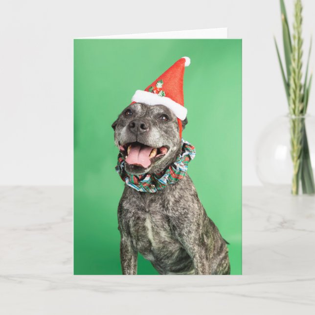 Christmas card (Front)