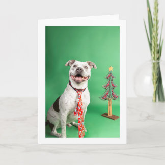 Christmas card