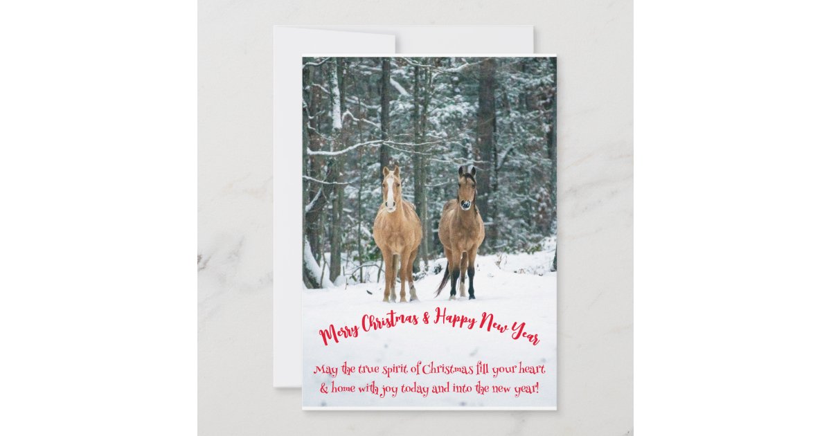 Christmas Card Zazzle
