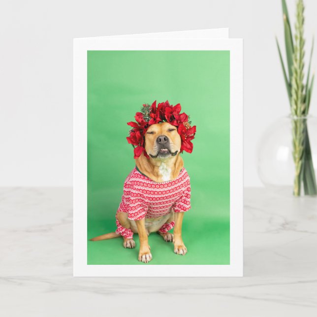 Christmas card (Front)