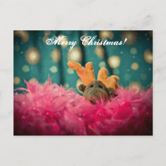 Christmas Card