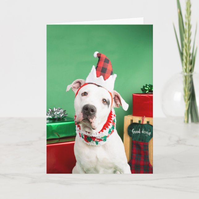 Christmas card (Front)