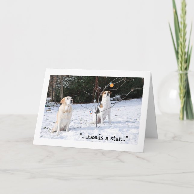 Christmas card, 2 dogs in snow looking at tree holiday card (Front)