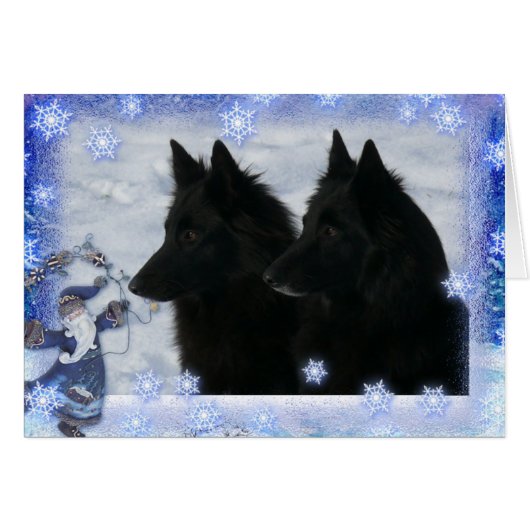Christmas card 2 Groenendaelers (Front Horizontal)