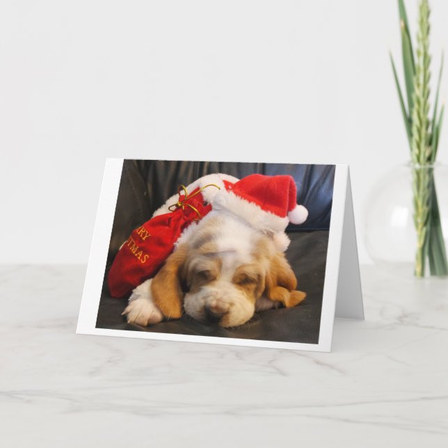 christmas card Basset hound puppy (Front)