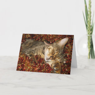 Christmas card - bengal cat