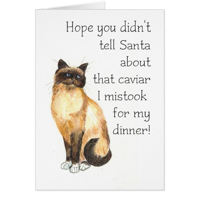 Christmas Card   Birman Cat