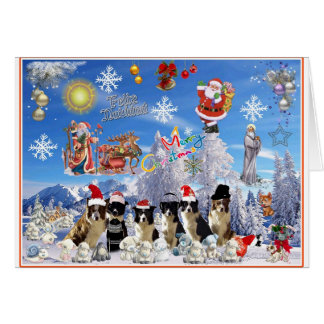 Border Collie Christmas Cards - Greeting &amp; Photo Cards | Zazzle