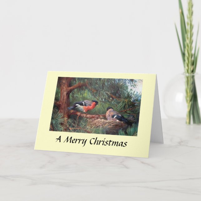 Christmas Card - Bullfinches (Front)