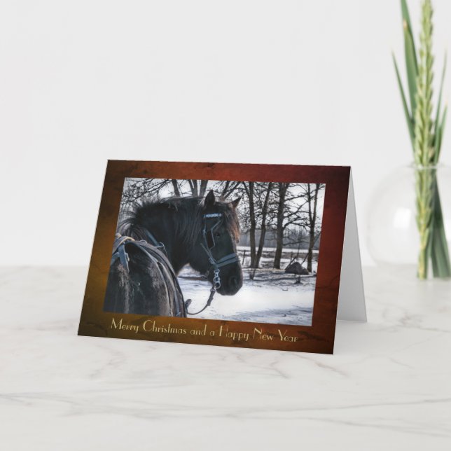 Christmas Card "Canadian Horse Sleigh" (Front)