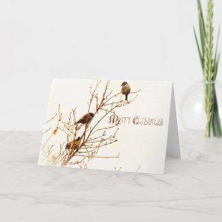 Christmas card - Christmas card - Merry Christmas!