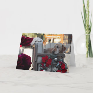 Christmas card: Christmas Eve in Death Valley Holiday Card