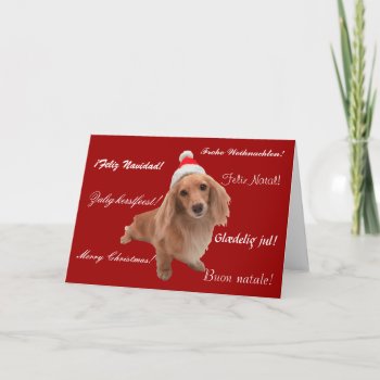 Christmas Card "dackel" Christmas by mein_irish_terrier at Zazzle