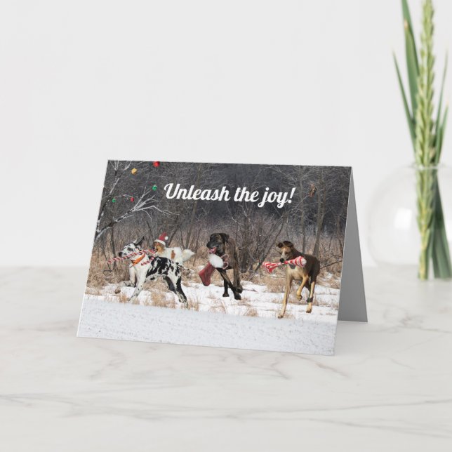 Christmas Card Dogs (Front)