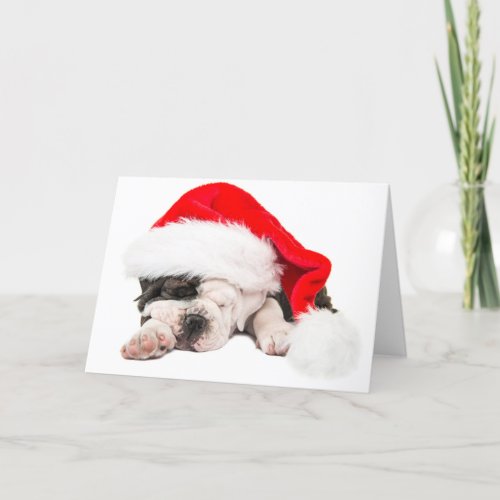 Christmas card english bulldog puppy Santas hat