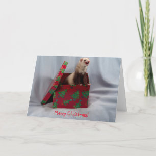 Christmas Card Ferret