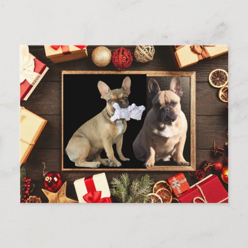 Christmas card French Bulldoggen Christmas