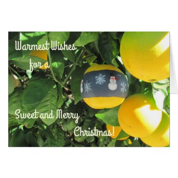 Christmas Card From Southern States by SimoneSheppardDesign at Zazzle