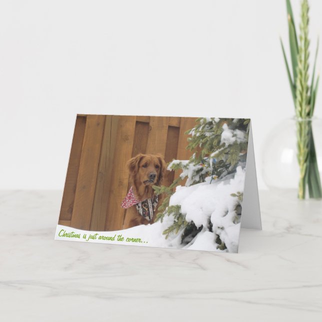 Christmas Card, Golden Retriever in Snow Holiday Card (Front)