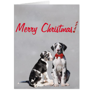 Christmas Card Great Great Danes