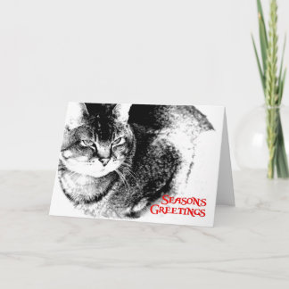Christmas Card - Half-Burmese Cat