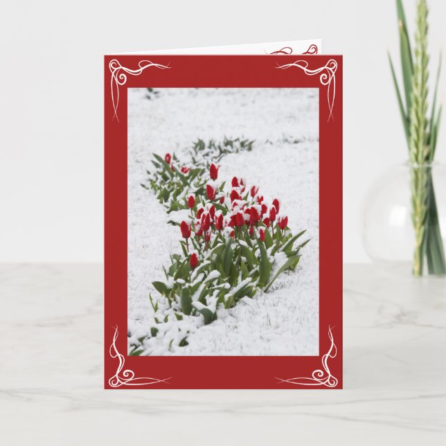 Christmas Card  - Holiday Greeting Card (Front)