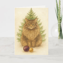 Christmas Card – Maine Coon Cat
