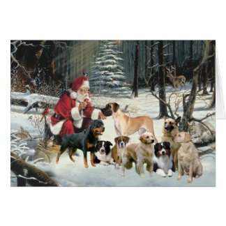 Dog Christmas Cards  Zazzle