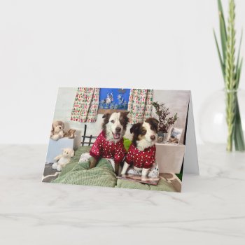 Christmas Card/ Photo Of 2 Dogs In Bed With A Book Card by PlaxtonDesigns at Zazzle