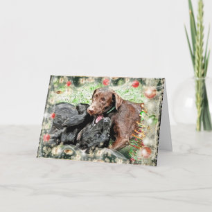 Christmas Card ~ puppy humor