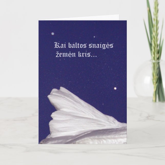 Christmas Card- Rami naktis Holiday Card (Front)