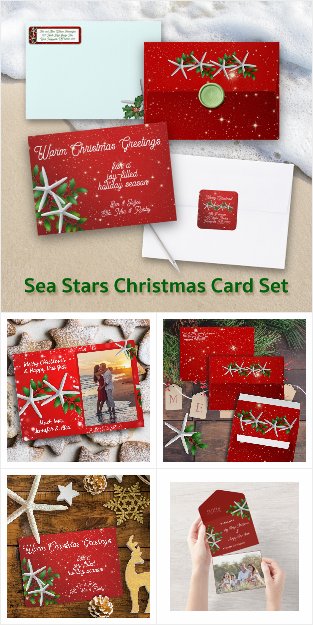 Christmas Card Set, Sea Stars