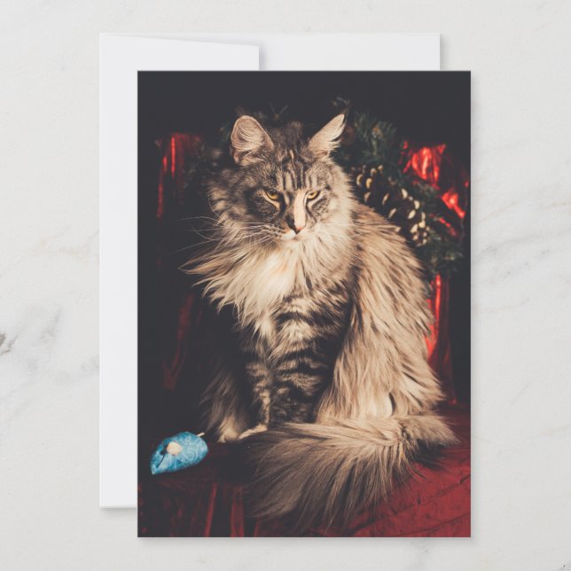 Christmas Card Smilla V1 (Front)