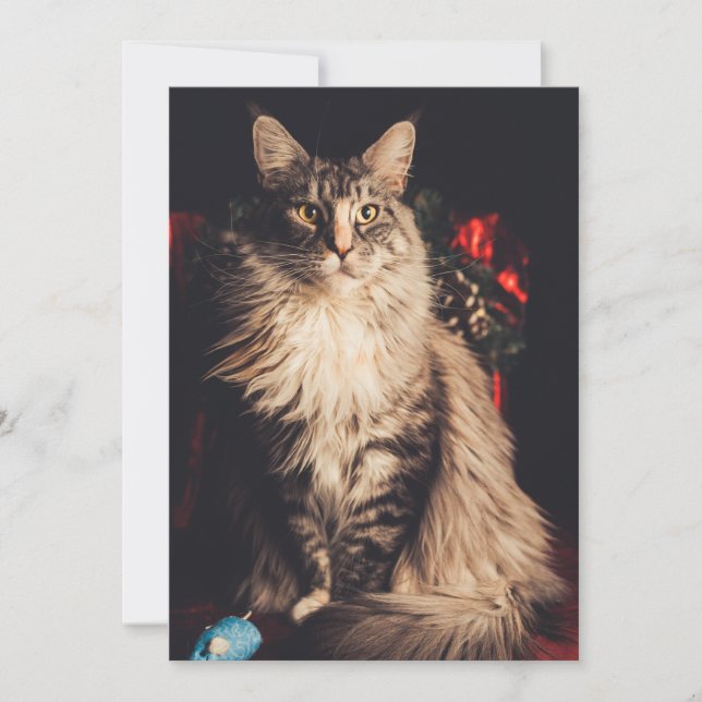 Christmas Card Smilla V2 (Front)