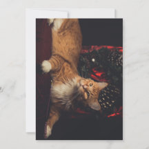 Christmas Card Tarzan V1