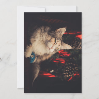 Christmas Card Titiyo V3