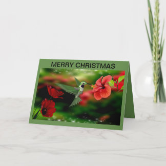 Christmas Card with a Hummingbird