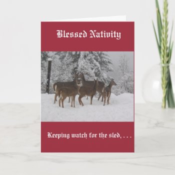 Christmas Card With Deer In Snow by Ancient_Greetings at Zazzle