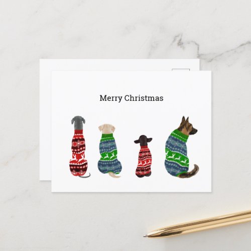 Christmas Card with Dogs Wearing Sweater 