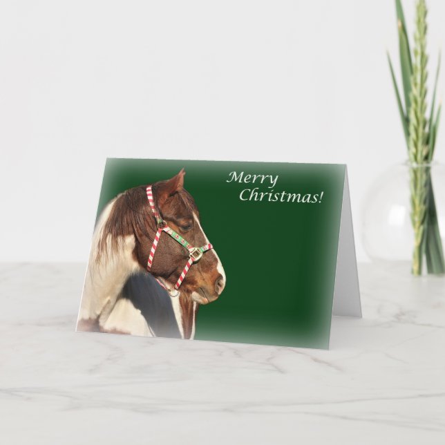 Christmas Card With Horse (Front)
