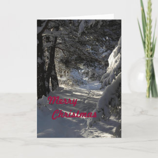 Christmas card with Merry Christmas.