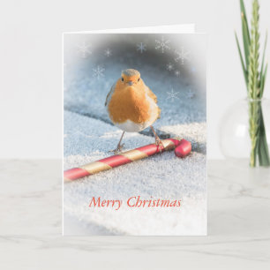 Christmas card with robin & Christmas candy sweet
